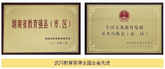 武冈市脱贫攻坚与乡村振兴协同推进的探索——基于湖南教育的视角